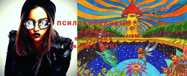 дживик Алексин