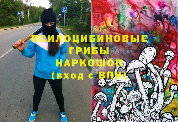 дживик Алексин
